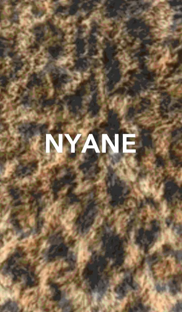 [LINE着せ替え] ニャインの画像1