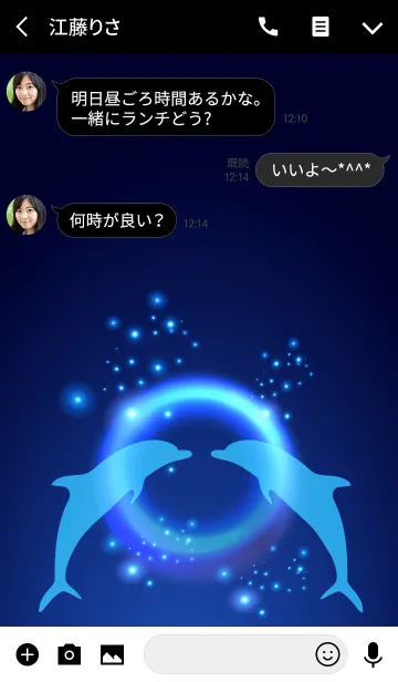 [LINE着せ替え] Dolphin in the night sky.の画像3