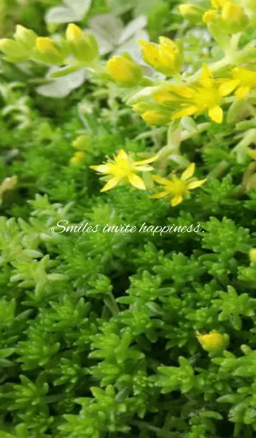 Smiles invite happiness.の着せ替えメイン画像