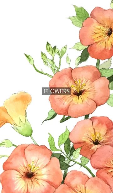 [LINE着せ替え] water color flowers_535の画像1