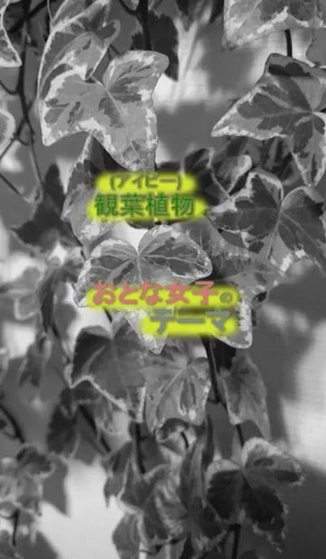 [LINE着せ替え] オトナ女子の観葉植物(アイビー)テーマの画像1