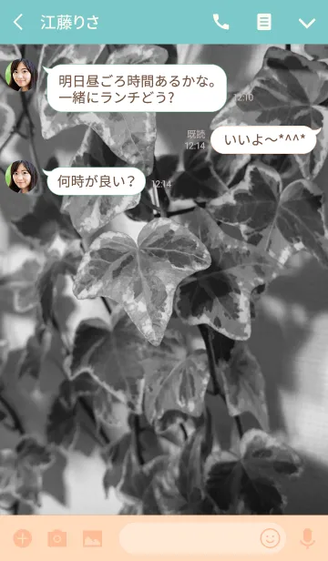 [LINE着せ替え] オトナ女子の観葉植物(アイビー)テーマの画像3