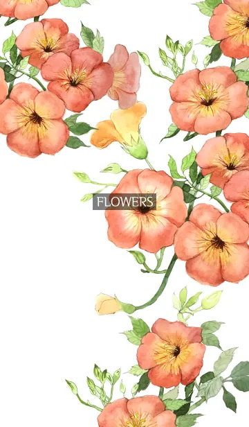[LINE着せ替え] water color flowers_536の画像1