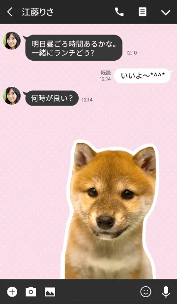 [LINE着せ替え] しばいぬハナコ【柴犬写真*a02】の画像3