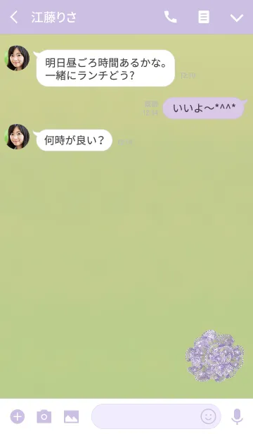 [LINE着せ替え] グリーンバラレースの画像3