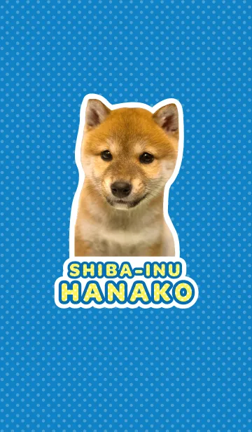 [LINE着せ替え] しばいぬハナコ【柴犬写真*a04】の画像1