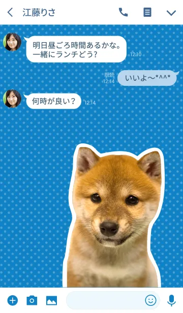 [LINE着せ替え] しばいぬハナコ【柴犬写真*a04】の画像3
