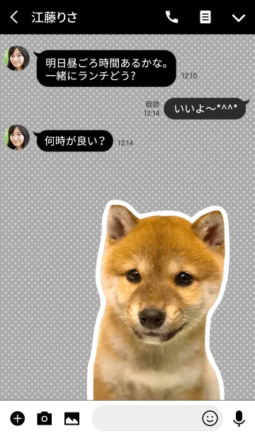 [LINE着せ替え] しばいぬハナコ【柴犬写真*a05】の画像3