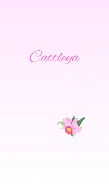 [LINE着せ替え] 花シリーズ Cattleyaの画像1