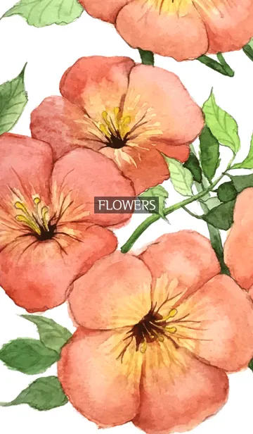 [LINE着せ替え] water color flowers_537の画像1