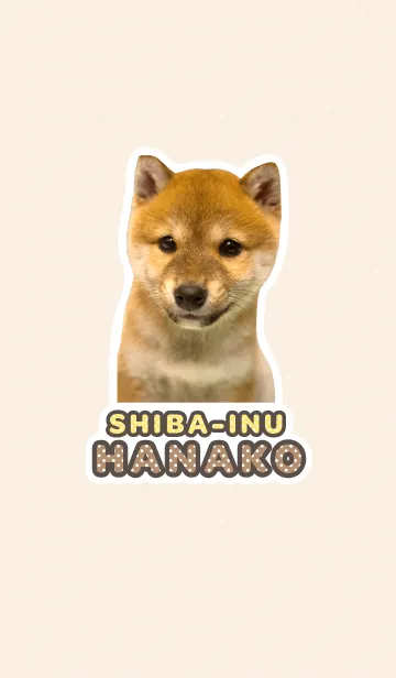 しばいぬハナコ【柴犬写真*a07】の着せ替えメイン画像