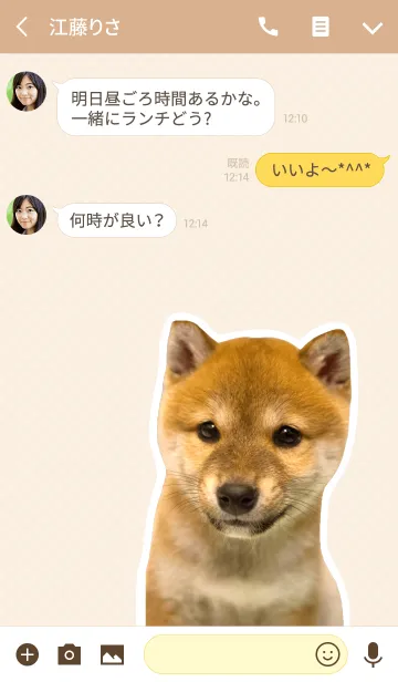 [LINE着せ替え] しばいぬハナコ【柴犬写真*a07】の画像3