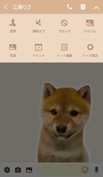 [LINE着せ替え] しばいぬハナコ【柴犬写真*a07】の画像4