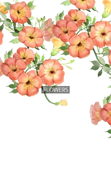 [LINE着せ替え] water color flowers_538の画像1