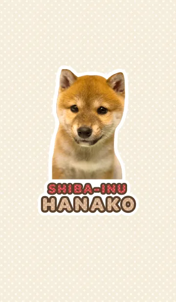 しばいぬハナコ【柴犬写真*a08】の着せ替えメイン画像