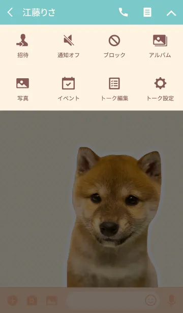 [LINE着せ替え] しばいぬハナコ【柴犬写真*a09】の画像4