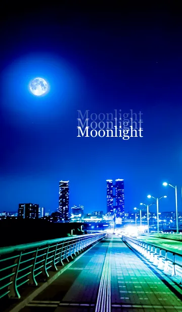 大人のMoonlightの着せ替えメイン画像