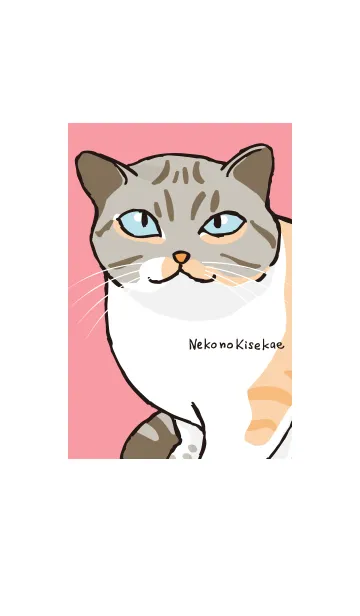 [LINE着せ替え] ねこのきせかえ みけねこの画像1