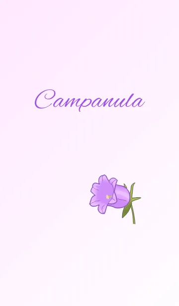 [LINE着せ替え] 花シリーズ Campanulaの画像1