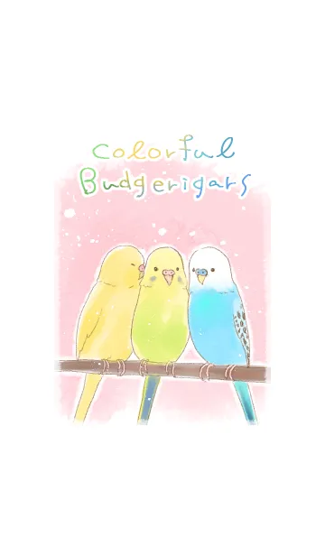 カラフルなセキセイインコの着せ替えメイン画像
