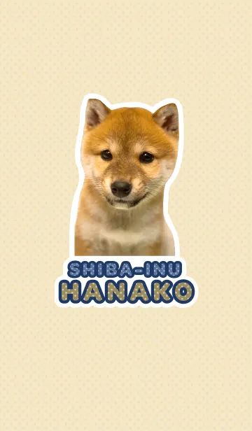 [LINE着せ替え] しばいぬハナコ【柴犬写真*a10】の画像1