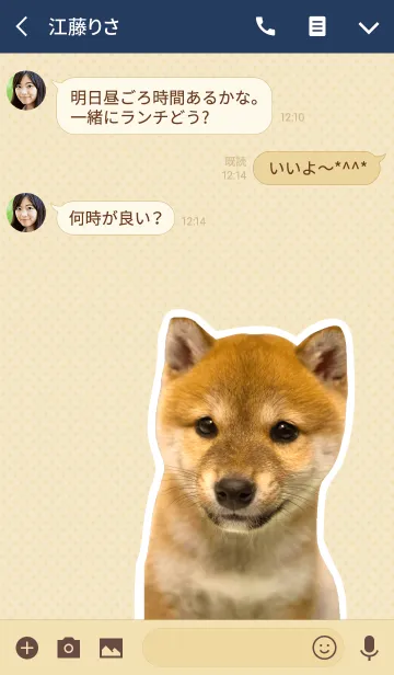 [LINE着せ替え] しばいぬハナコ【柴犬写真*a10】の画像3
