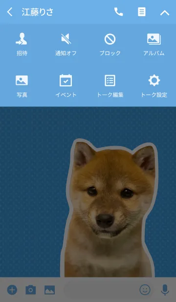 [LINE着せ替え] しばいぬハナコ【柴犬写真*a11】の画像4