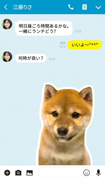 [LINE着せ替え] しばいぬハナコ【柴犬写真*a12】の画像3