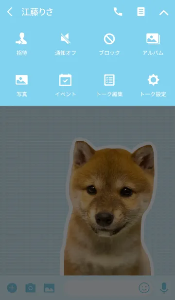 [LINE着せ替え] しばいぬハナコ【柴犬写真*a13】の画像4