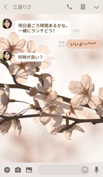 [LINE着せ替え] 癒しの効果 ～Simple Cherry blossoms.～ 2の画像3