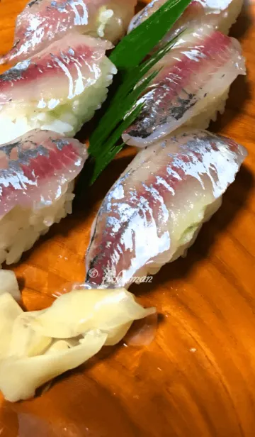 鯵の着せ替えメイン画像