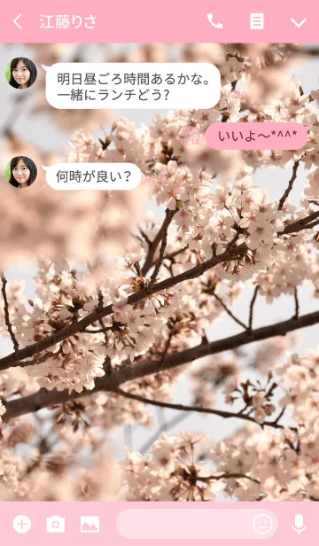 [LINE着せ替え] 癒しの効果 ～Simple Cherry blossoms.～の画像3