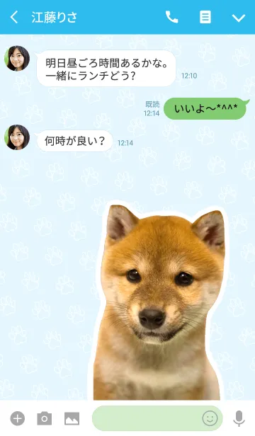[LINE着せ替え] しばいぬハナコ【柴犬写真*a14】の画像3