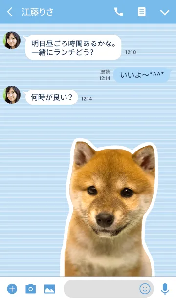 [LINE着せ替え] しばいぬハナコ【柴犬写真*a15】の画像3