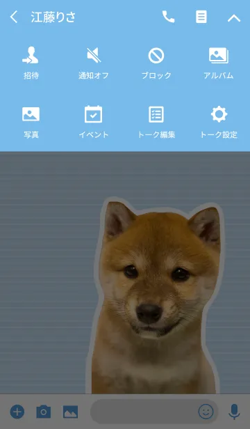 [LINE着せ替え] しばいぬハナコ【柴犬写真*a15】の画像4