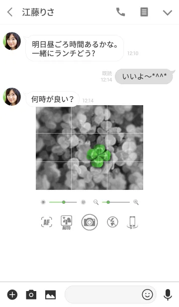 [LINE着せ替え] 【カメラ】×【幸運のクローバー】の画像3
