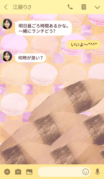 [LINE着せ替え] 夏のとびっこのマカロンマドラスチェックの画像3