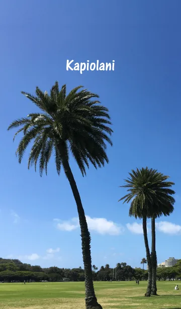 [LINE着せ替え] Kapiolani of Hawaii in the summer.の画像1