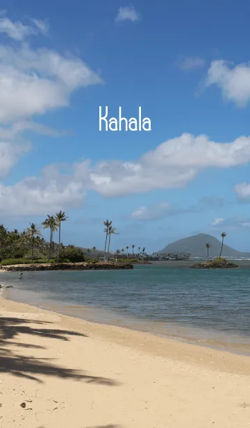 [LINE着せ替え] Summer Aloha - Kahala -の画像1