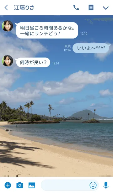 [LINE着せ替え] Summer Aloha - Kahala -の画像3