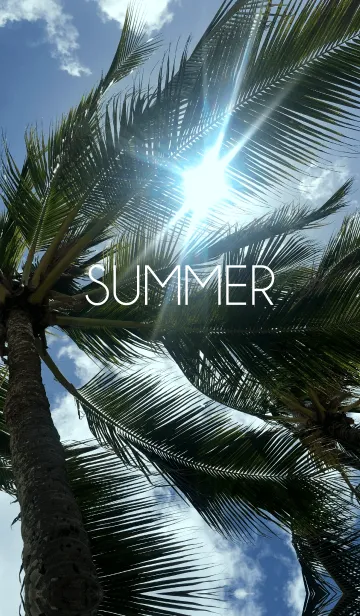 [LINE着せ替え] SUMMER SUN.の画像1