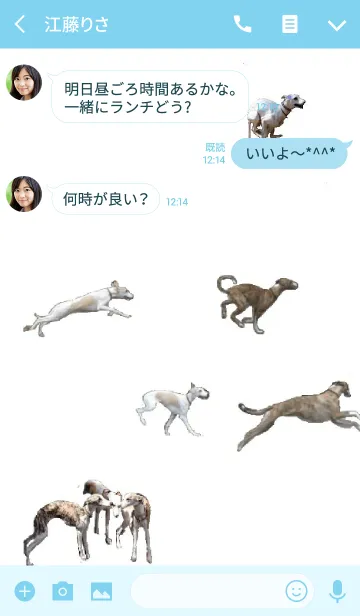 [LINE着せ替え] 大人の可愛いウィペットの画像3
