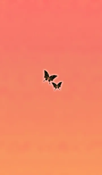 [LINE着せ替え] 大人の幸運アゲハオレンジの画像1