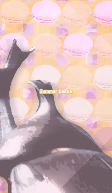 [LINE着せ替え] 夏のカブトムシの画像1