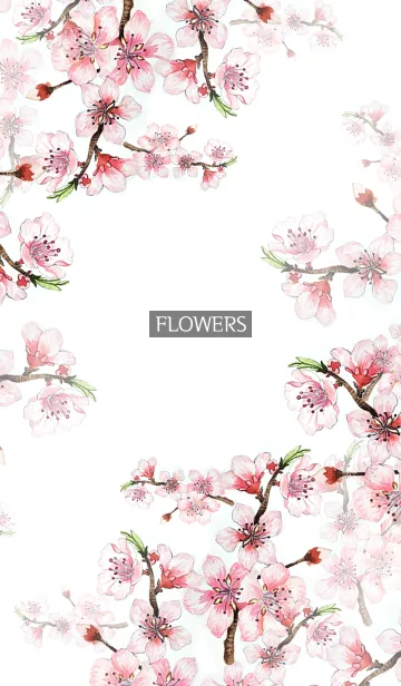 [LINE着せ替え] water color flowers_595の画像1