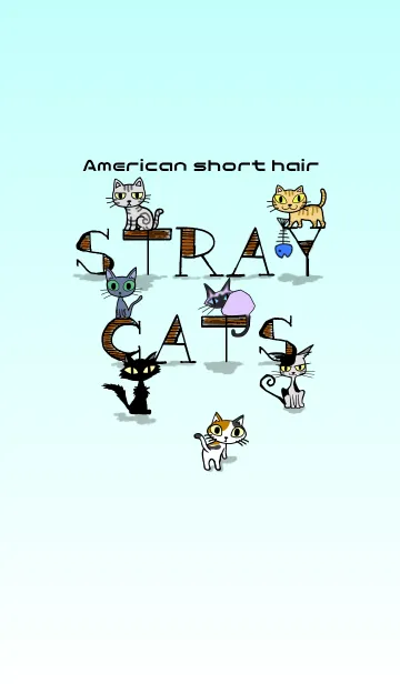 [LINE着せ替え] STRAY CATS - American short hair-の画像1