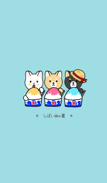 夏ですよ～！しばいぬの夏！の着せ替えメイン画像