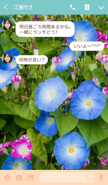 [LINE着せ替え] アサガオ2 ver.2の画像3