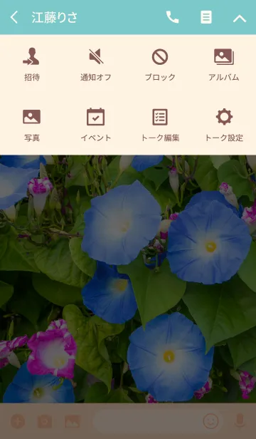 [LINE着せ替え] アサガオ2 ver.2の画像4