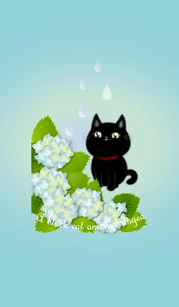 [LINE着せ替え] アジサイの花と黒猫ちゃん1(雨降り編)の画像1